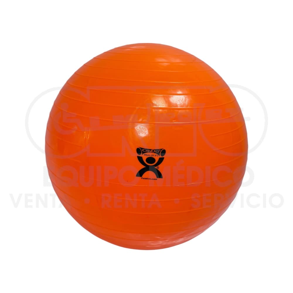 Pelota para Terapia y Ejercicio