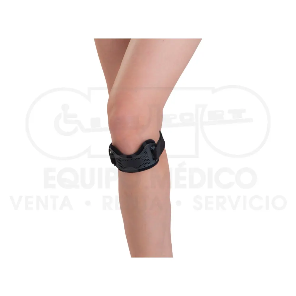 Cincha Rotuiliana